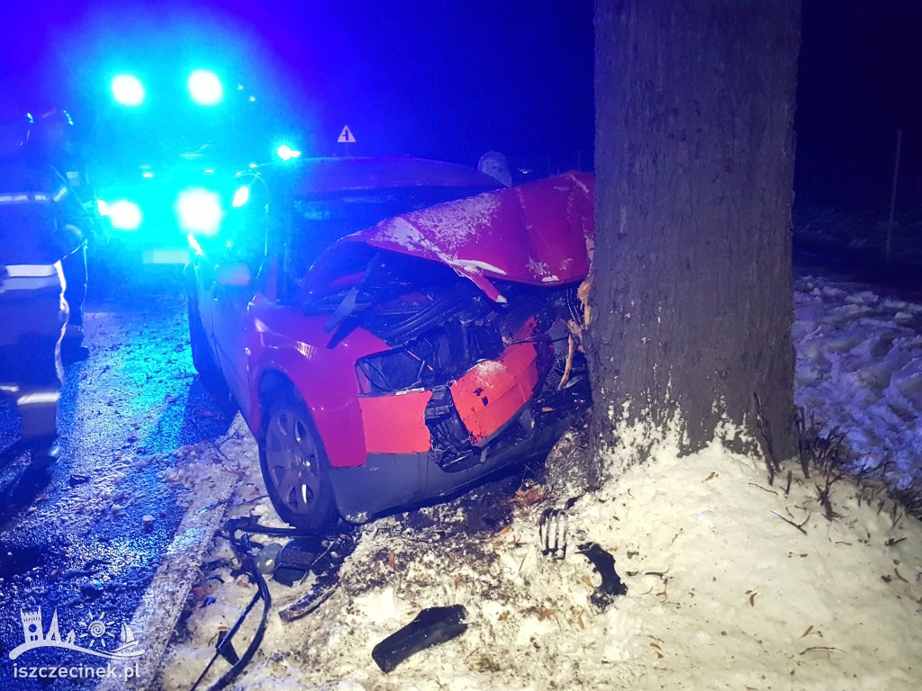 Zjechał na przeciwny pas, uderzył w drzewo [ZDJęCIA, WIDEO]