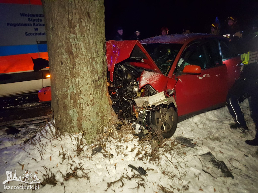 Zjechał na przeciwny pas, uderzył w drzewo [ZDJęCIA, WIDEO]