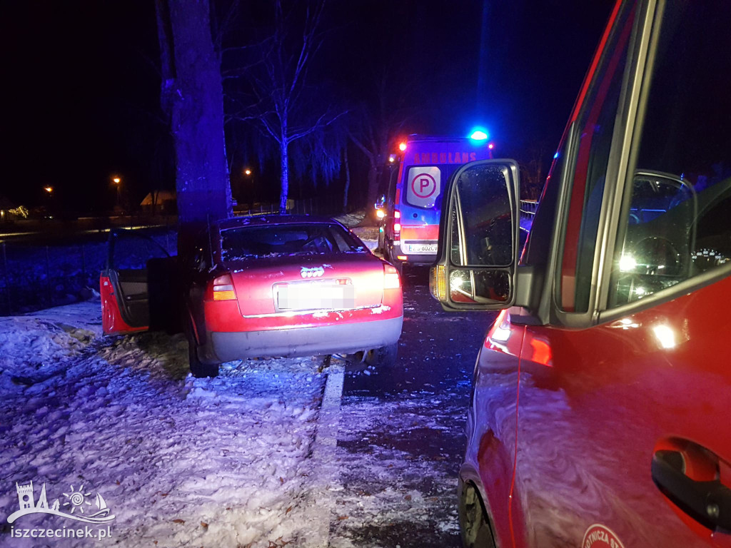 Zjechał na przeciwny pas, uderzył w drzewo [ZDJęCIA, WIDEO]