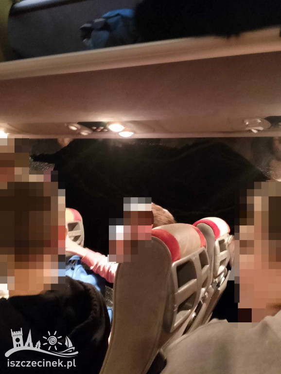 Autobus wiozący dzieci otarł się o drzewo. Z powybijanymi szybami pojechał dalej