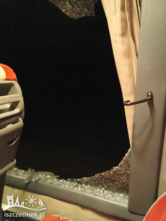 Autobus wiozący dzieci otarł się o drzewo. Z powybijanymi szybami pojechał dalej