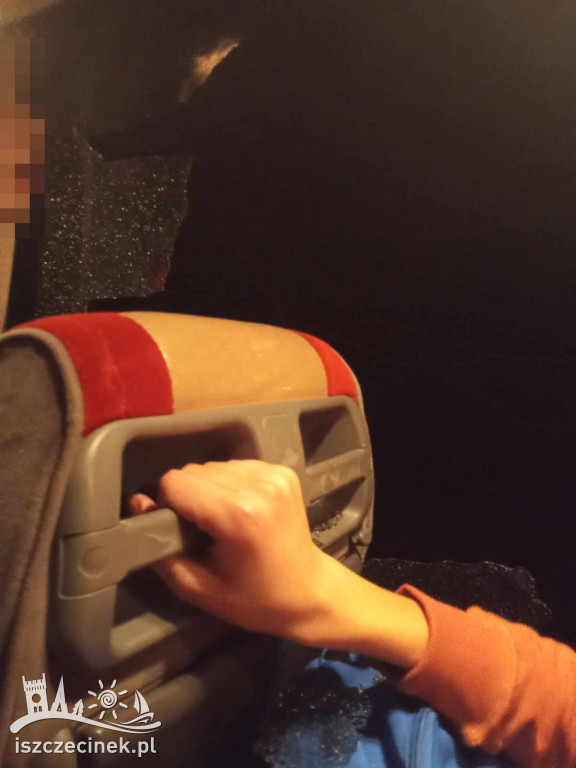 Autobus wiozący dzieci otarł się o drzewo. Z powybijanymi szybami pojechał dalej