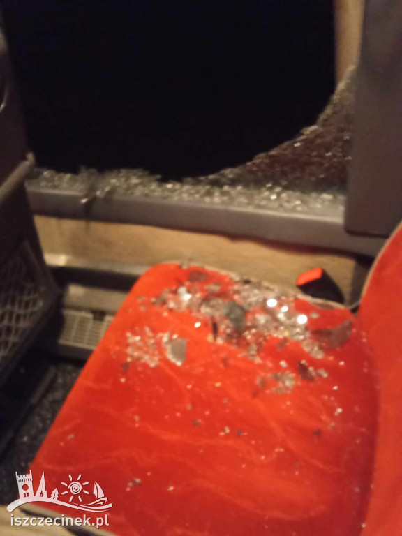 Autobus wiozący dzieci otarł się o drzewo. Z powybijanymi szybami pojechał dalej