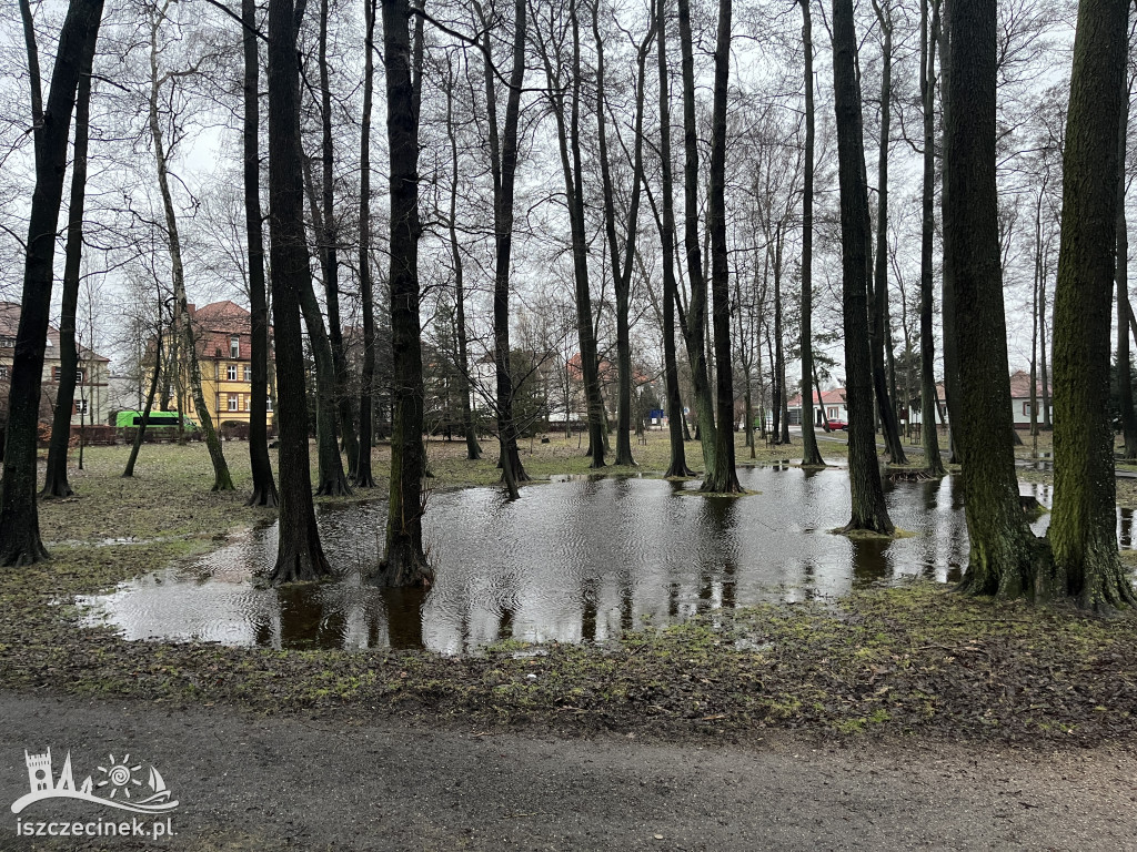 Wysoki stan wody w Trzesiecku. Podtopienia w parku