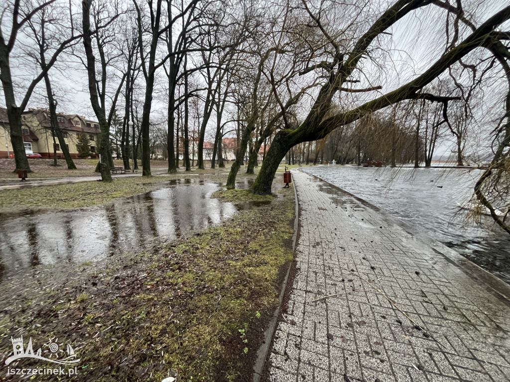 Wysoki stan wody w Trzesiecku. Podtopienia w parku