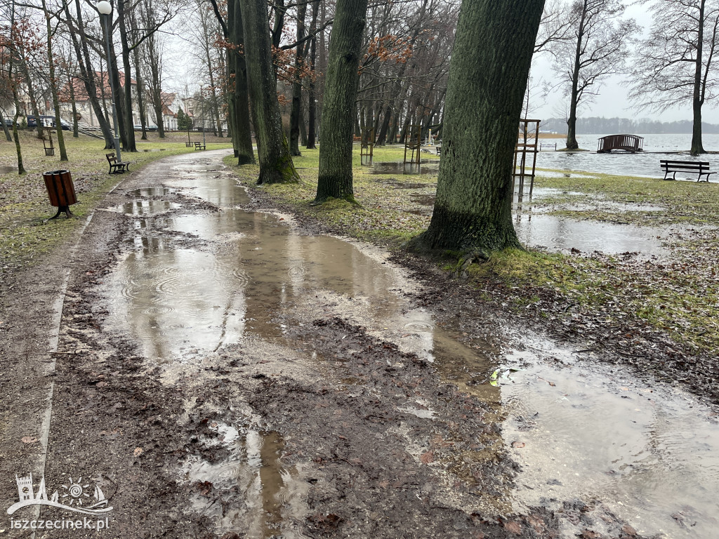 Wysoki stan wody w Trzesiecku. Podtopienia w parku