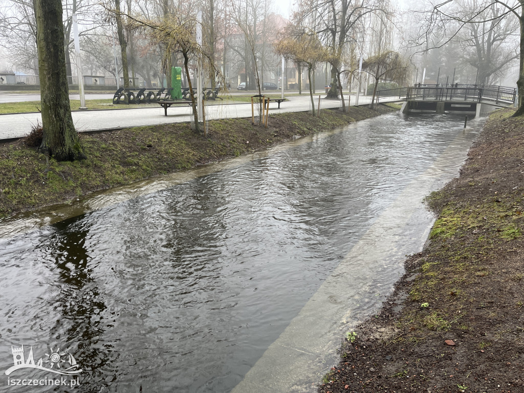 Podtopienia w szczecineckim parku