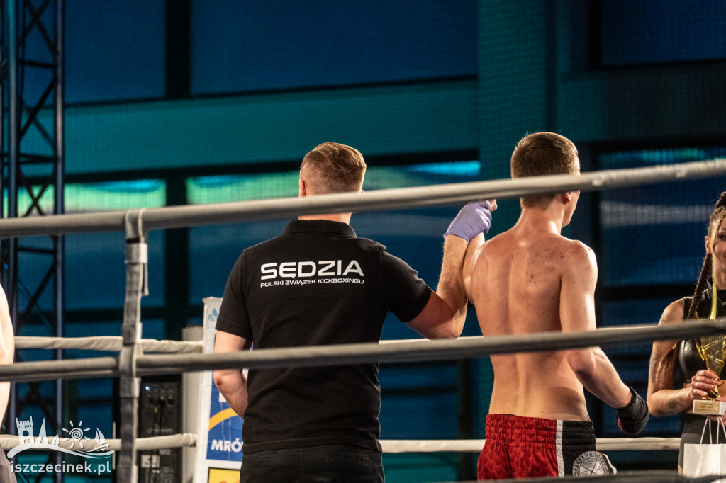 Arena Pająk Fight Night: Niezapomniane emocje i sportowe zmagania!