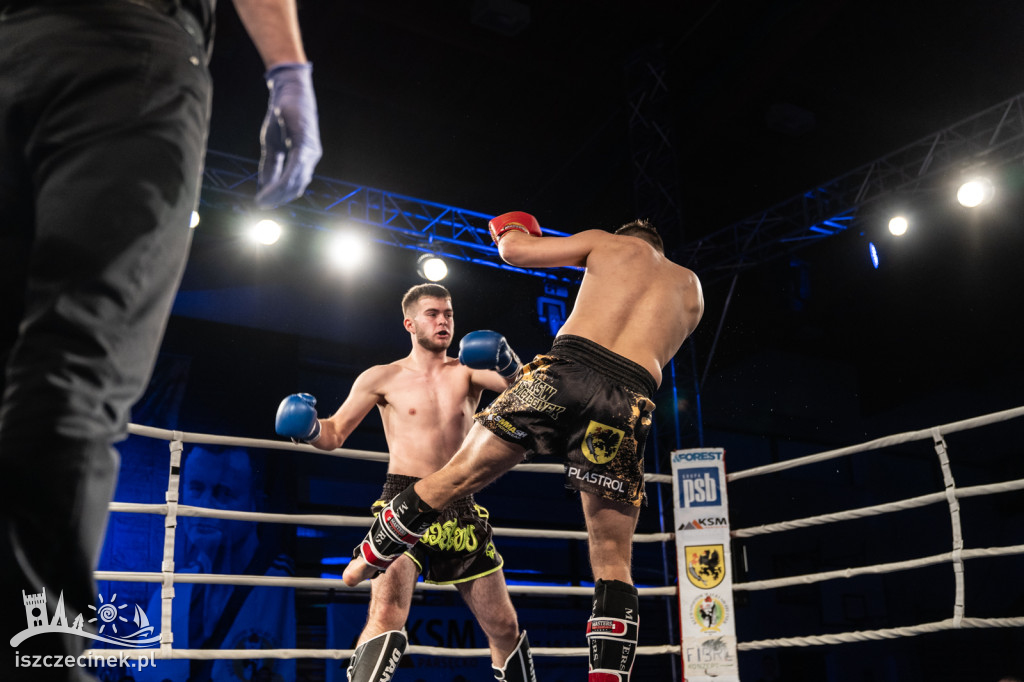 Arena Pająk Fight Night: Niezapomniane emocje i sportowe zmagania!