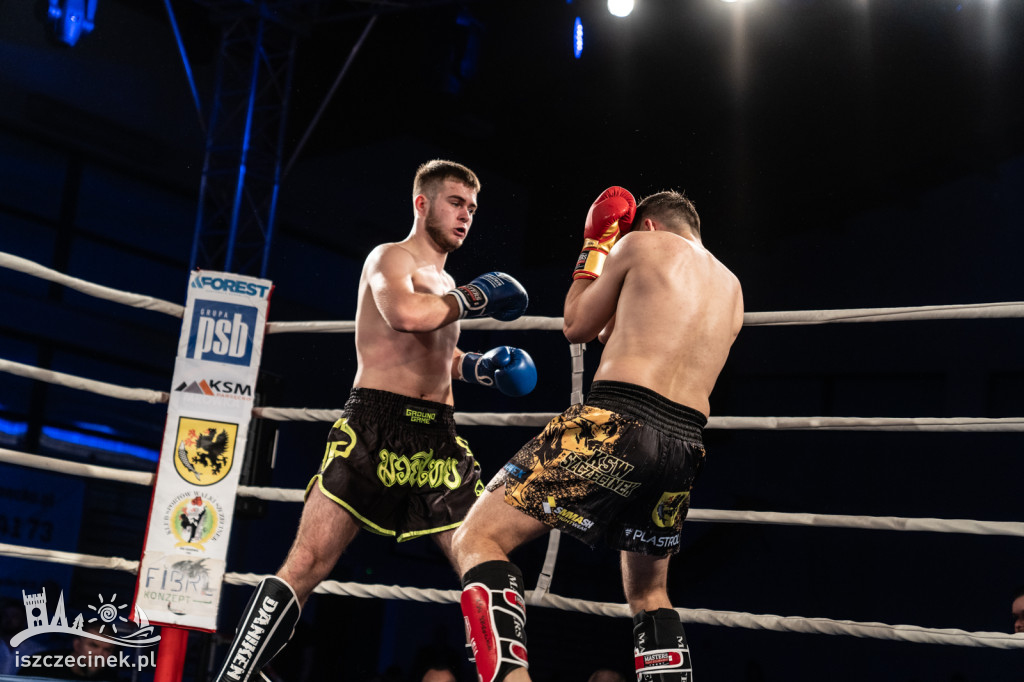 Arena Pająk Fight Night: Niezapomniane emocje i sportowe zmagania!