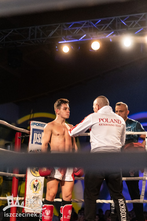 Arena Pająk Fight Night: Niezapomniane emocje i sportowe zmagania!