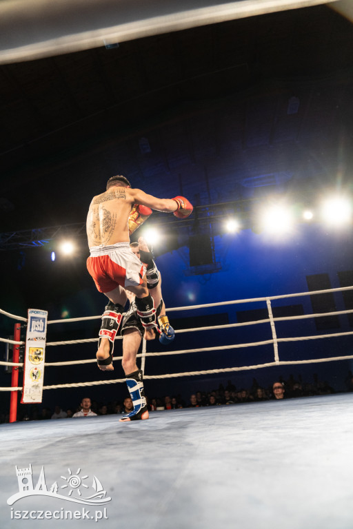 Arena Pająk Fight Night: Niezapomniane emocje i sportowe zmagania!