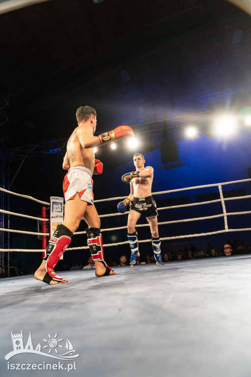 Arena Pająk Fight Night: Niezapomniane emocje i sportowe zmagania!