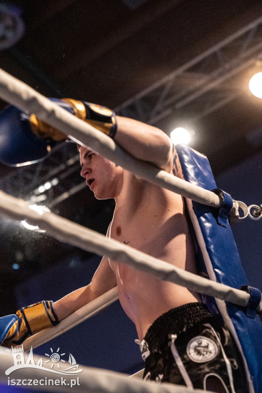 Arena Pająk Fight Night: Niezapomniane emocje i sportowe zmagania!