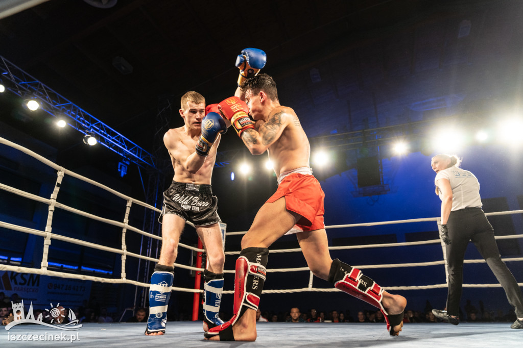 Arena Pająk Fight Night: Niezapomniane emocje i sportowe zmagania!