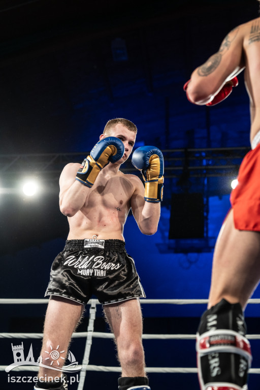 Arena Pająk Fight Night: Niezapomniane emocje i sportowe zmagania!
