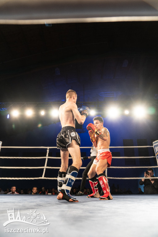 Arena Pająk Fight Night: Niezapomniane emocje i sportowe zmagania!