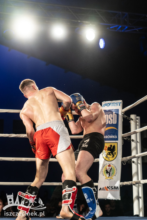Arena Pająk Fight Night: Niezapomniane emocje i sportowe zmagania!