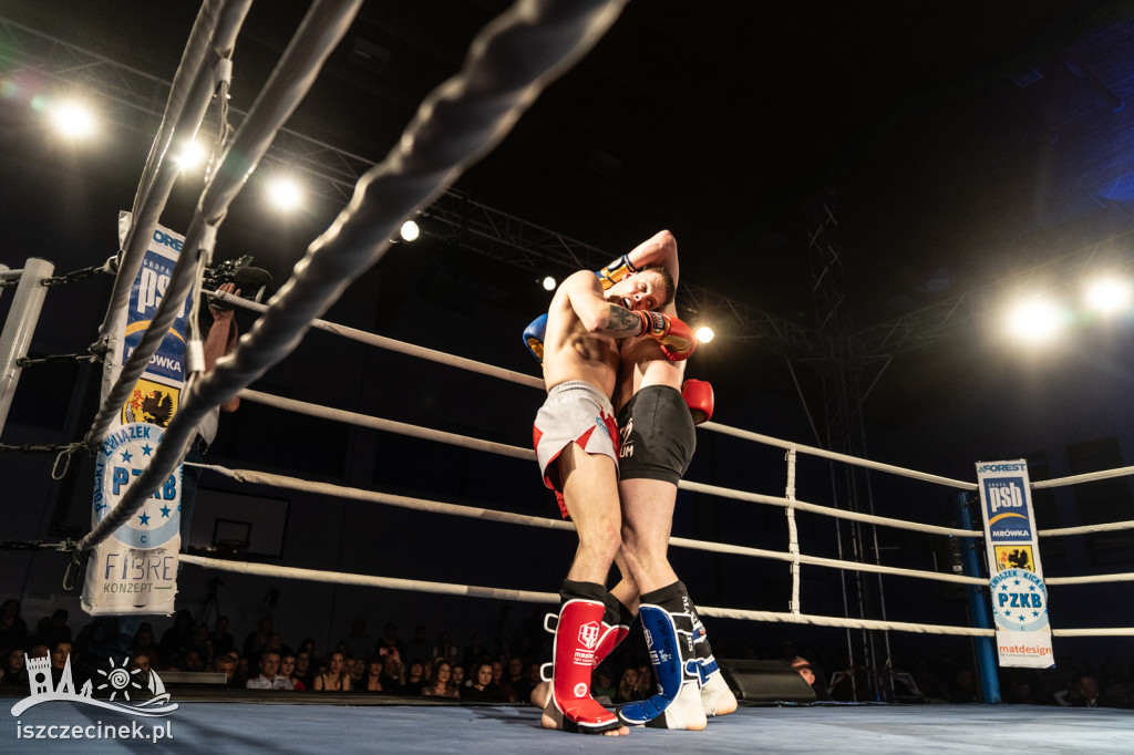 Arena Pająk Fight Night: Niezapomniane emocje i sportowe zmagania!