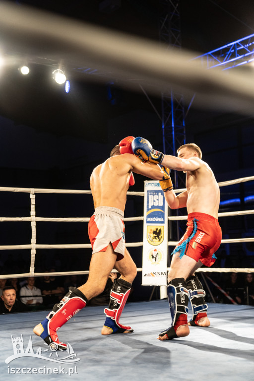 Arena Pająk Fight Night: Niezapomniane emocje i sportowe zmagania!