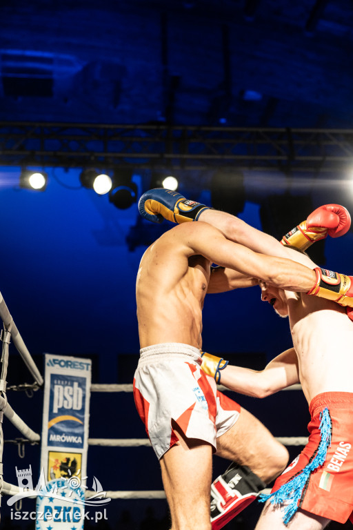 Arena Pająk Fight Night: Niezapomniane emocje i sportowe zmagania!