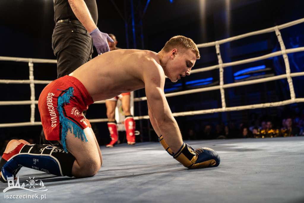 Arena Pająk Fight Night: Niezapomniane emocje i sportowe zmagania!