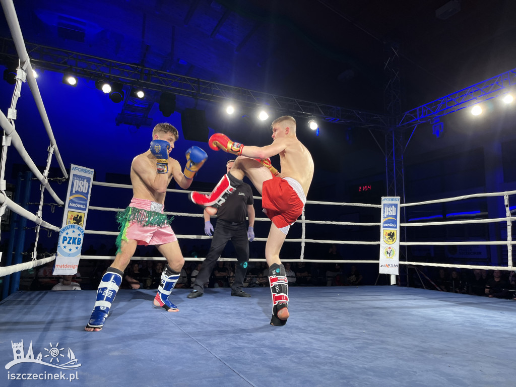 Arena Pająk Fight Night: Niezapomniane emocje i sportowe zmagania!