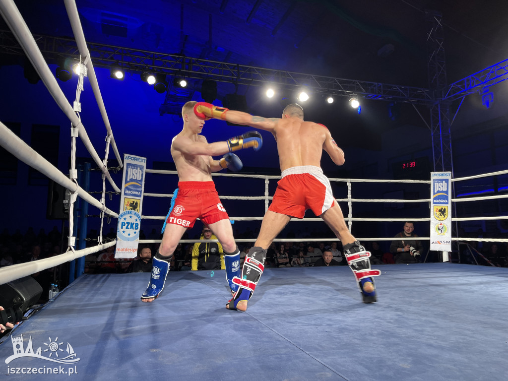 Arena Pająk Fight Night: Niezapomniane emocje i sportowe zmagania!