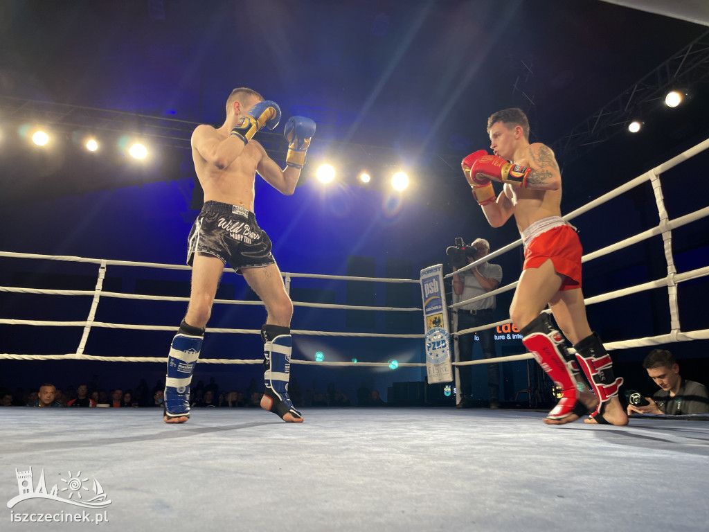 Arena Pająk Fight Night: Niezapomniane emocje i sportowe zmagania!