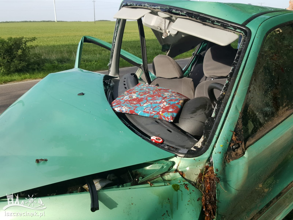 Wypadek pod Czarnem. Fiat rozbił się na drzewie
