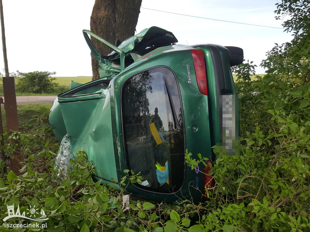 Wypadek pod Czarnem. Fiat rozbił się na drzewie