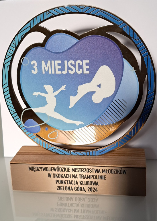 Udane starty młodych akrobatów na Międzywojewódzkich Mistrzostwach Młodzików