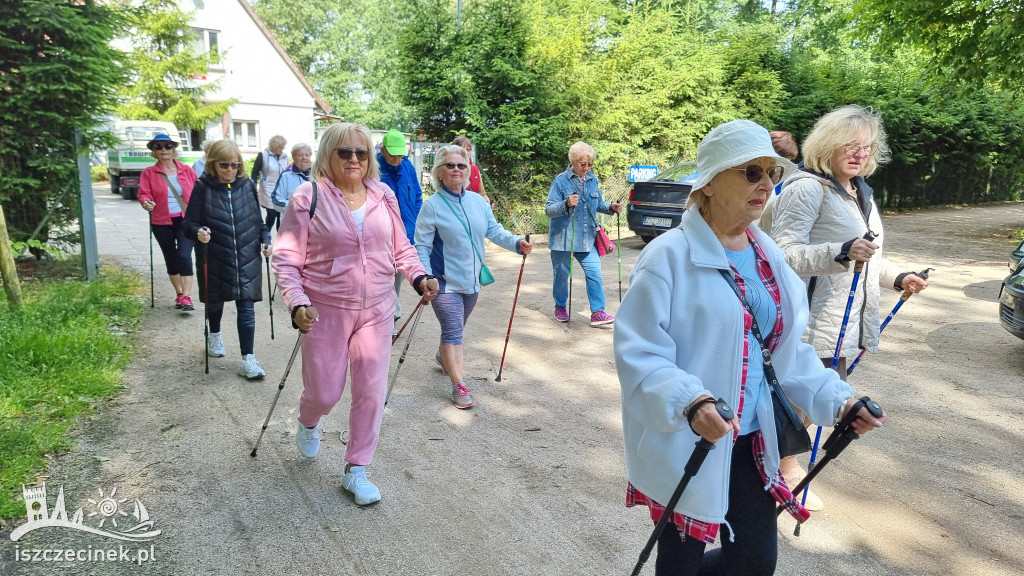 Joga, kijki i koncerty. Seniorzy na dwa dni przejmują miasto.