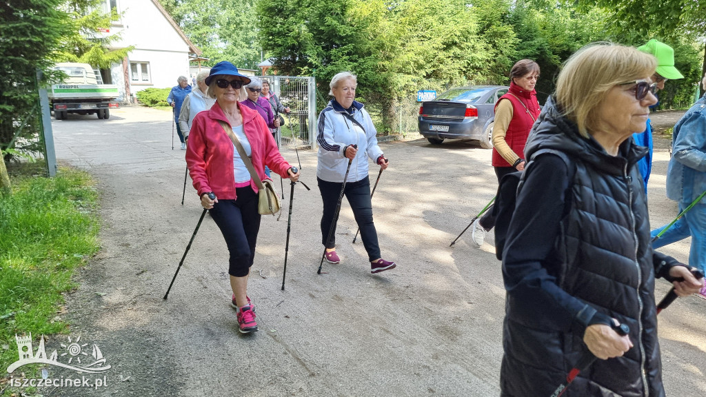 Joga, kijki i koncerty. Seniorzy na dwa dni przejmują miasto.