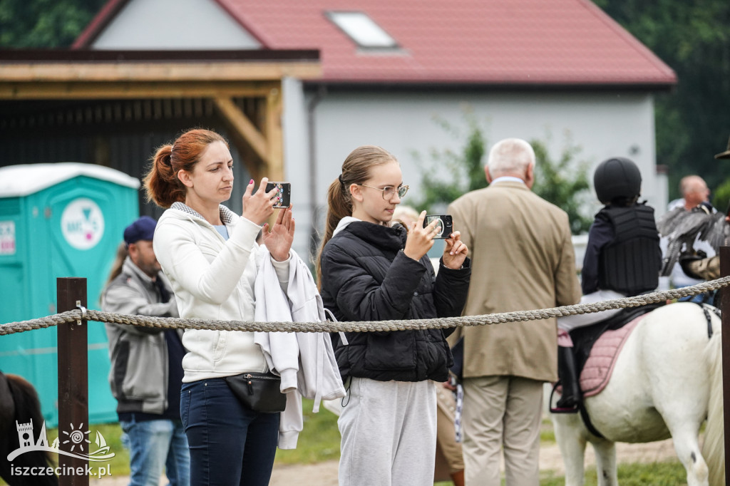 II Towarzyskie Zawody w Skokach przez Przeszkody Stajnia Biskupice - Biały Bór