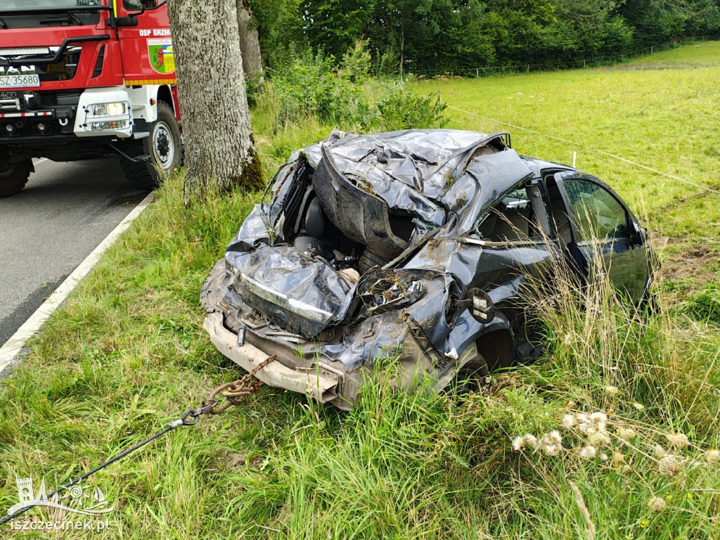 Wstrząsająca tragedia na drodze. Dwie osoby nie żyją, dwie w szpitalu