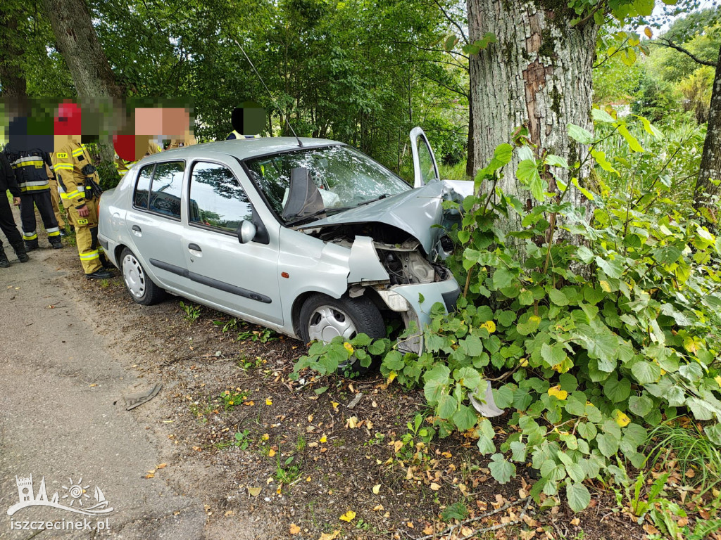 Wypadek w Mieszałkach. Samochód uderzył w drzewo