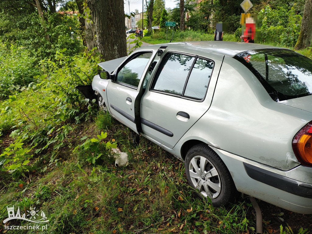 Wypadek w Mieszałkach. Samochód uderzył w drzewo