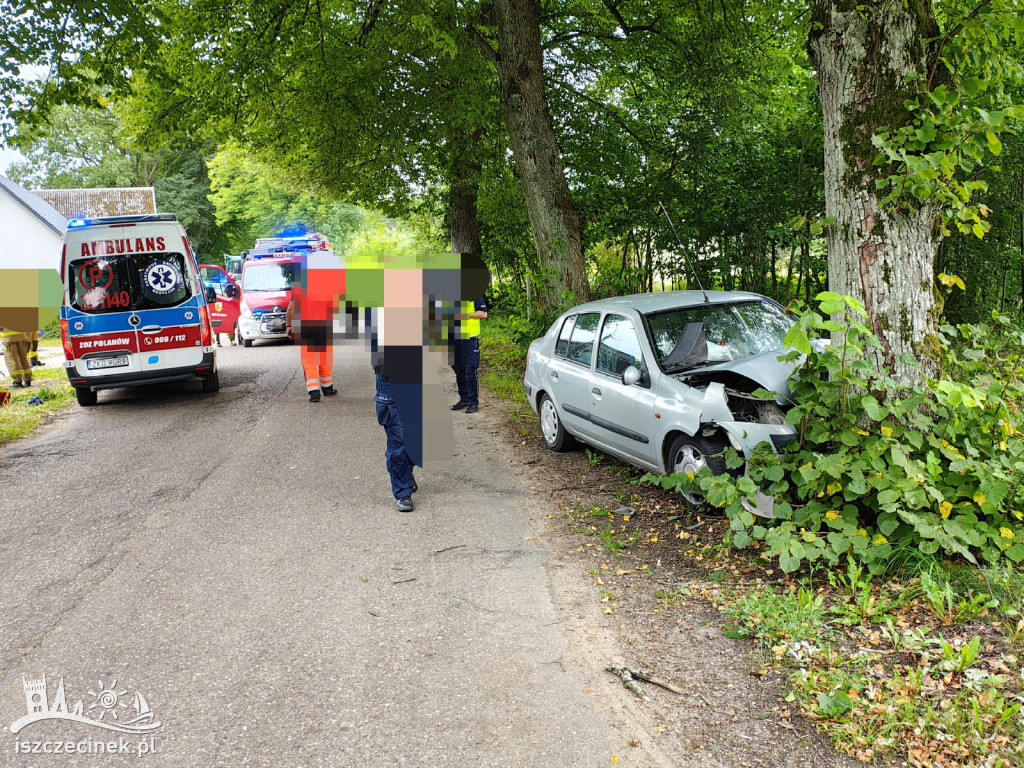 Wypadek w Mieszałkach. Samochód uderzył w drzewo