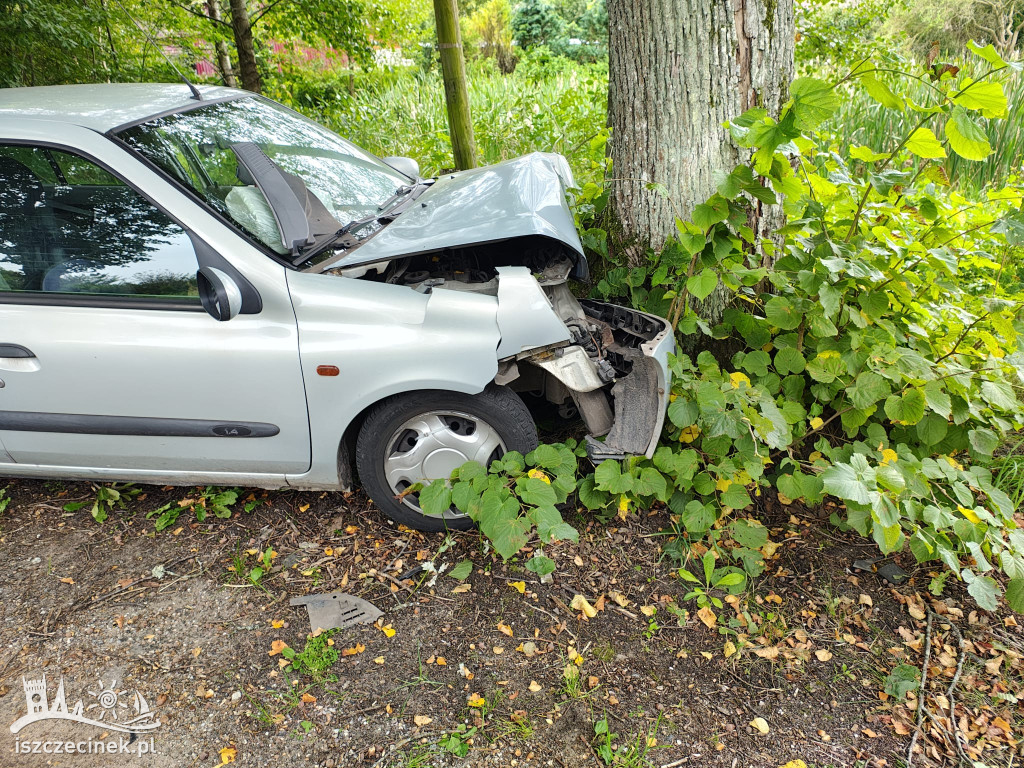 Wypadek w Mieszałkach. Samochód uderzył w drzewo