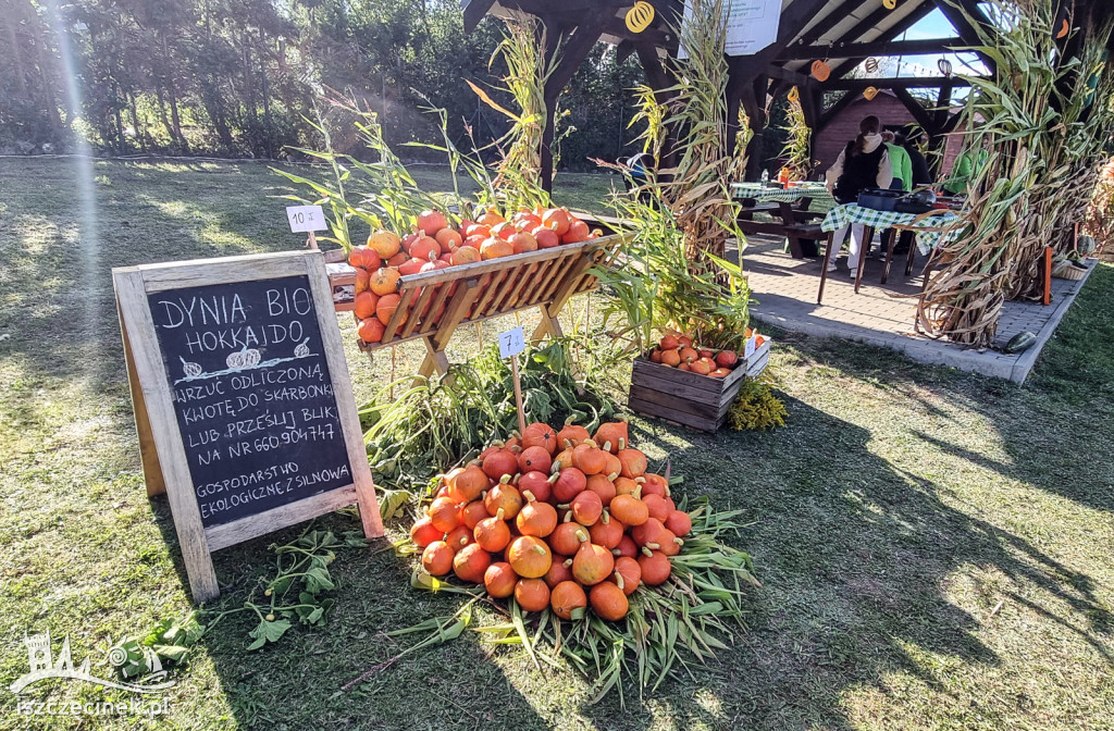 Dożynki Gminne i Festiwal Dyni w Radaczu – tradycja i radość