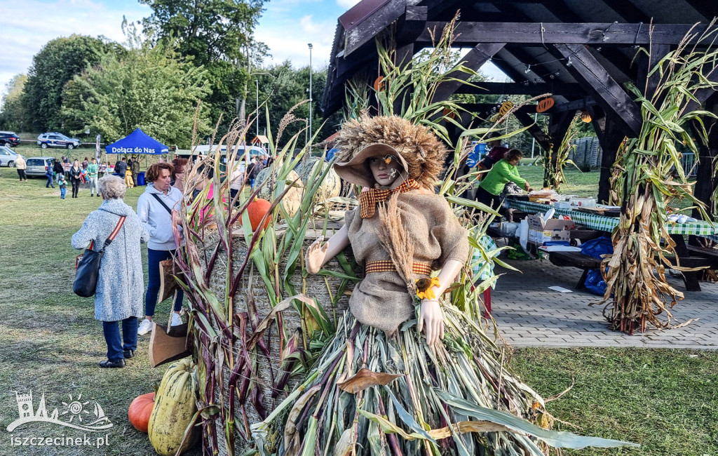 Dożynki Gminne i Festiwal Dyni w Radaczu – tradycja i radość