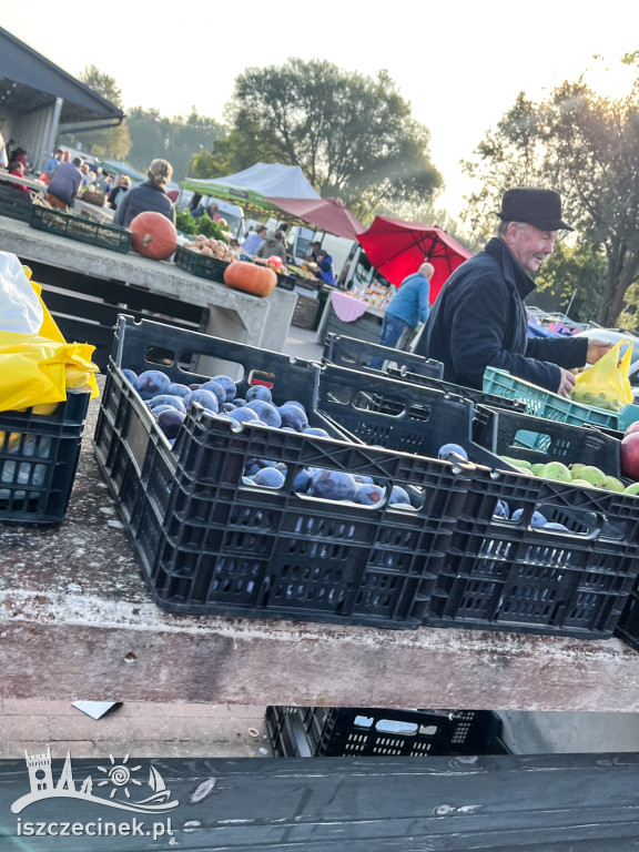 Jesienne warzywa i przetwory: Szczecineckie targowisko kusi