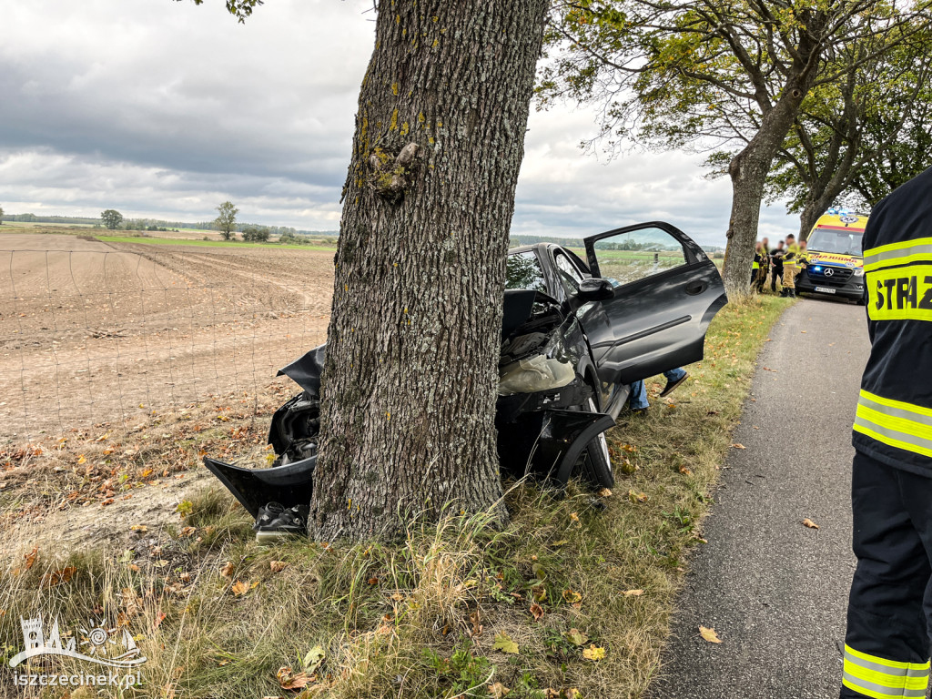 Opel uderzył w drzewo. Jedna osoba ranna