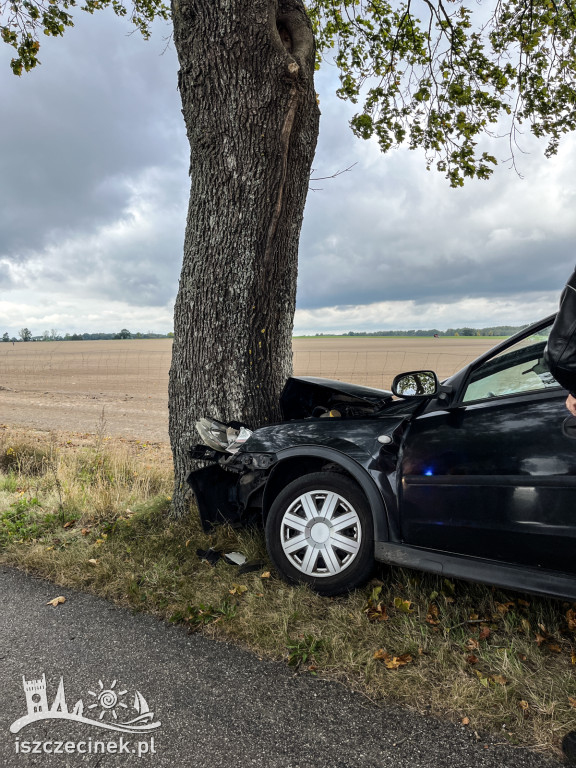 Opel uderzył w drzewo. Jedna osoba ranna