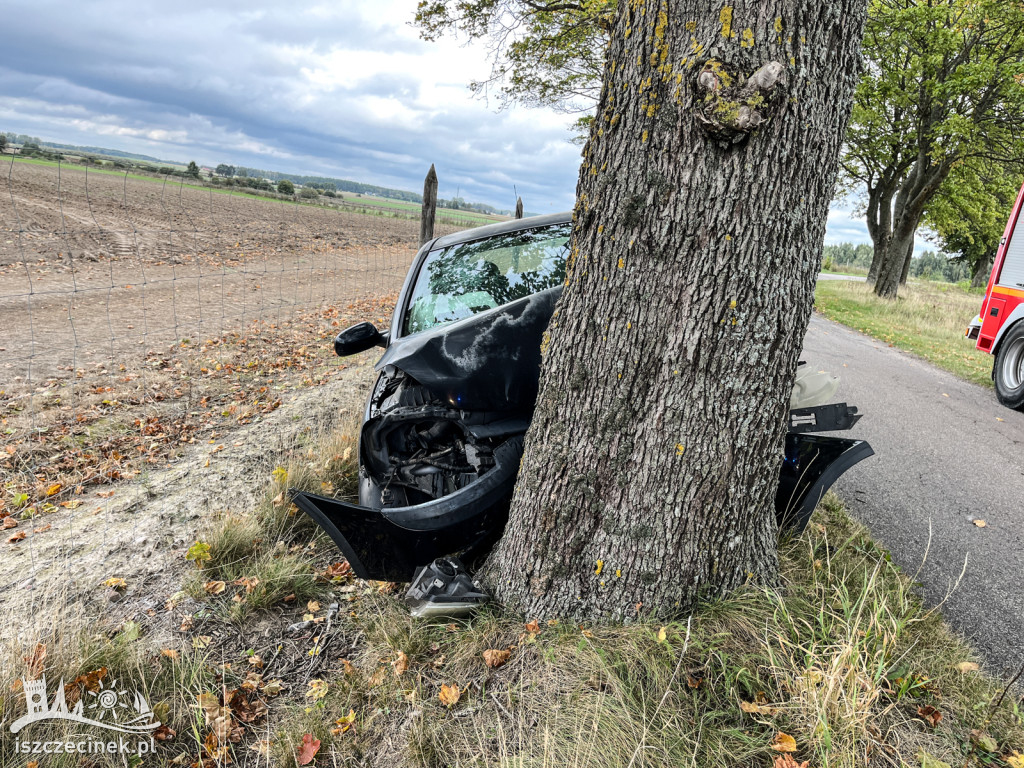 Opel uderzył w drzewo. Jedna osoba ranna