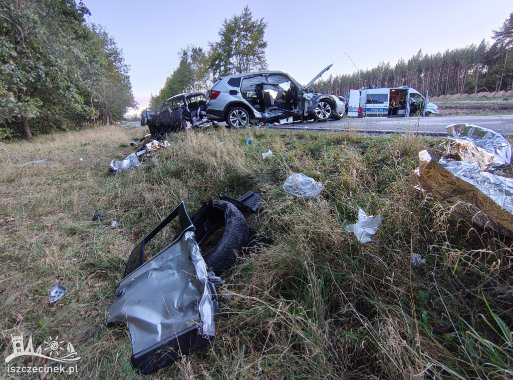 Tragiczny wypadek na DK11: dwie ofiary, zablokowana droga