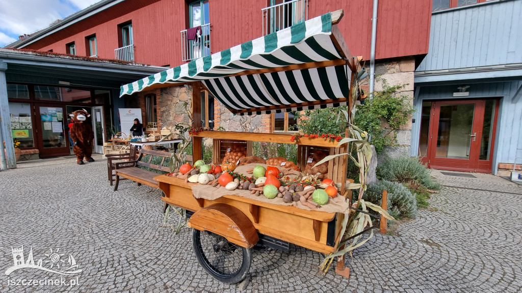 Jesienny EKO bazar w Juchowie: zakupy prosto z natury