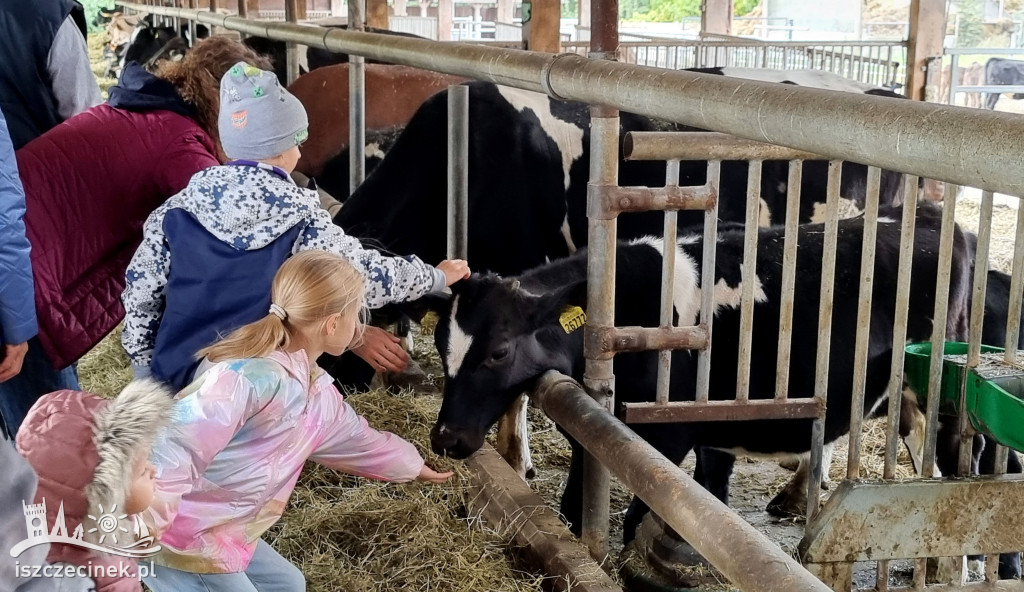 Jesienny EKO bazar w Juchowie: zakupy prosto z natury