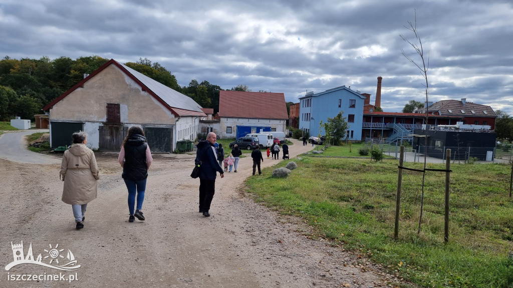 Jesienny EKO bazar w Juchowie: zakupy prosto z natury